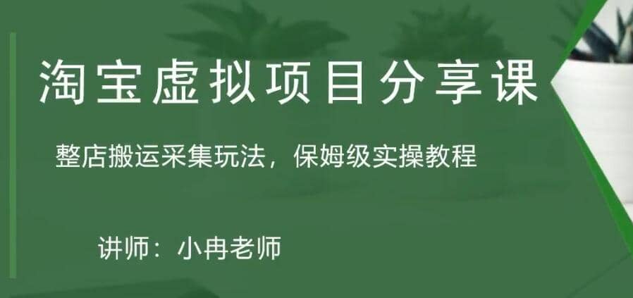 淘宝虚拟整店搬运采集玩法分享课：整店搬运采集玩法，保姆级实操教程聚合网创-网创项目资源站-副业项目-创业项目-搞钱项目聚合网创