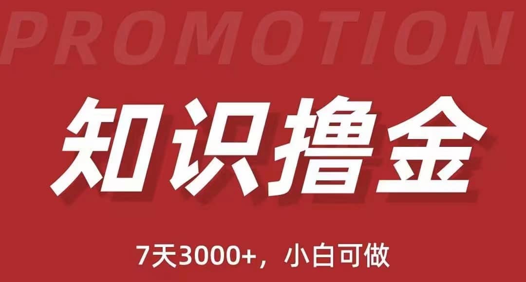 抖音知识撸金项目：执行力强当天见收益(教程+资料)聚合网创-网创项目资源站-副业项目-创业项目-搞钱项目聚合网创