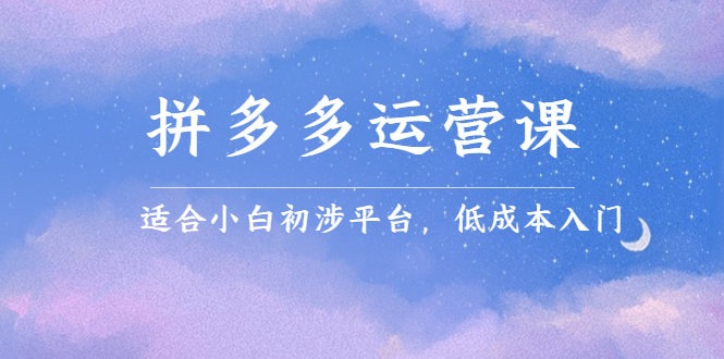 拼多多运营课，适合小白初涉平台，低成本入门聚合网创-网创项目资源站-副业项目-创业项目-搞钱项目聚合网创
