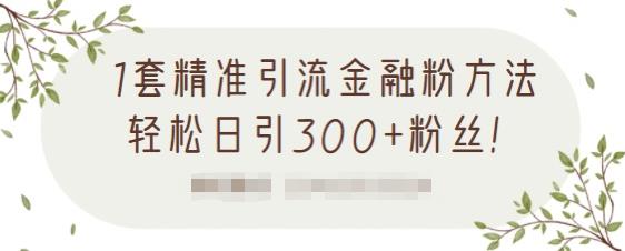 1套精准引流金融粉方法，轻松日引300+粉丝【视频课程】聚合网创-网创项目资源站-副业项目-创业项目-搞钱项目聚合网创