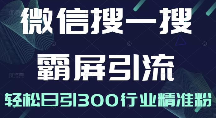 微信搜一搜霸屏引流课，打造被动精准引流系统，轻松日引300行业精准粉【无水印】聚合网创-网创项目资源站-副业项目-创业项目-搞钱项目聚合网创