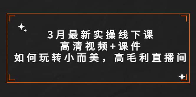 3月最新实操线下课高清视频+课件，如何玩转小而美，高毛利直播间聚合网创-网创项目资源站-副业项目-创业项目-搞钱项目聚合网创