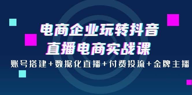 电商企业玩转抖音直播电商实战课：账号搭建+数据化直播+付费投流+金牌主播聚合网创-网创项目资源站-副业项目-创业项目-搞钱项目聚合网创