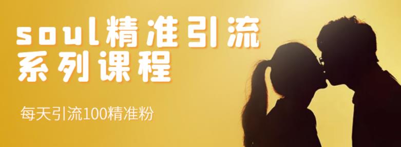 soul精准引流系列课程，每天引流100精准粉聚合网创-网创项目资源站-副业项目-创业项目-搞钱项目聚合网创