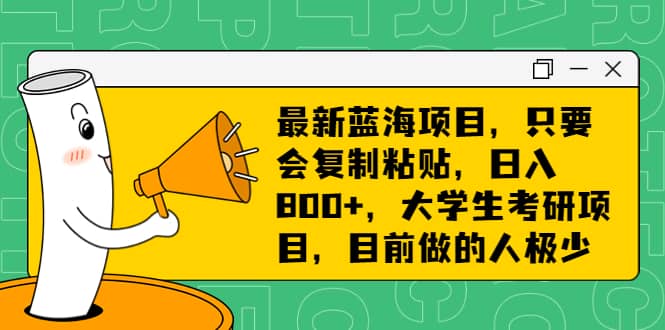 最新蓝海项目，只要会复制粘贴，日入800+，大学生考研项目，目前做的人极少聚合网创-网创项目资源站-副业项目-创业项目-搞钱项目聚合网创