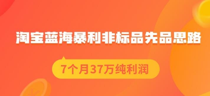 盗坤淘宝蓝海暴利非标品先品思路，7个月37万纯利润，压箱干货分享！【付费文章】聚合网创-网创项目资源站-副业项目-创业项目-搞钱项目聚合网创