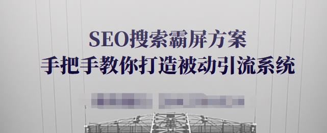 SEO搜索霸屏方案，手把手教你打造被动引流系统【视频课程】聚合网创-网创项目资源站-副业项目-创业项目-搞钱项目聚合网创