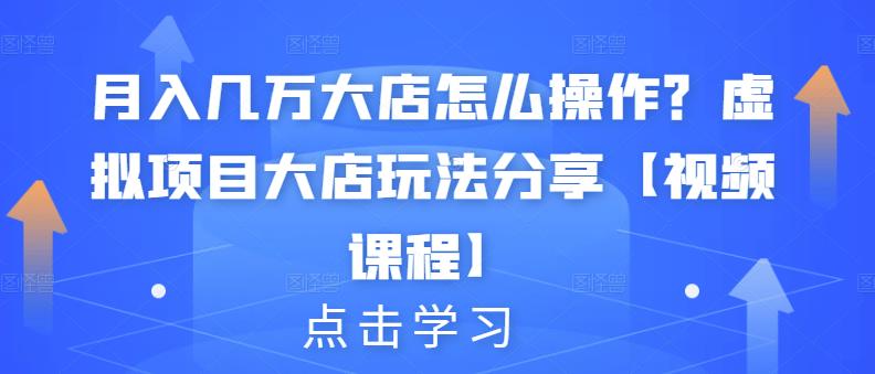 月入几万大店怎么操作？虚拟项目大店玩法分享【视频课程】聚合网创-网创项目资源站-副业项目-创业项目-搞钱项目聚合网创