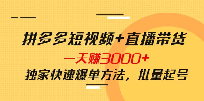 拼多多短视频+直播带货，一天赚3000+独家快速爆单方法，批量起号聚合网创-网创项目资源站-副业项目-创业项目-搞钱项目聚合网创