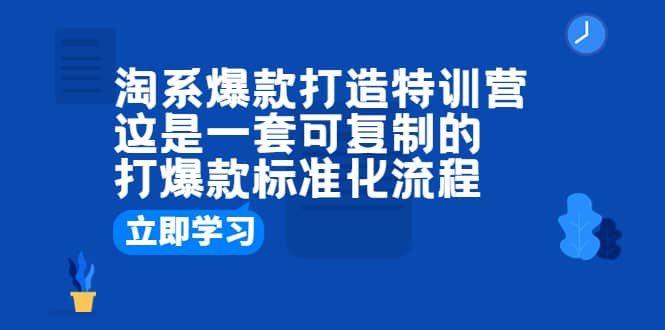 淘系爆款打造特训营：这是一套可复制的打爆款标准化流程聚合网创-网创项目资源站-副业项目-创业项目-搞钱项目聚合网创