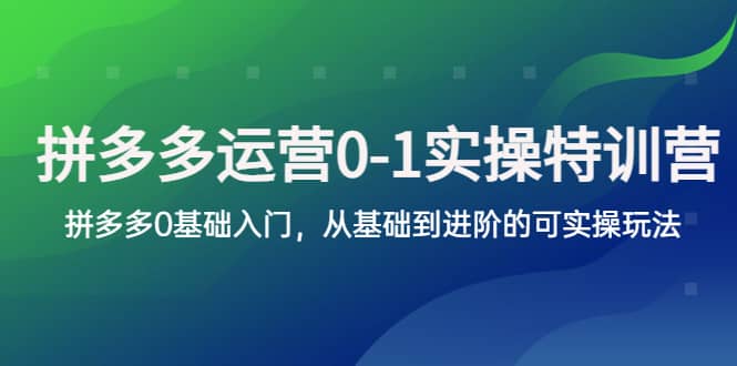 拼多多-运营0-1实操训练营，拼多多0基础入门，从基础到进阶的可实操玩法聚合网创-网创项目资源站-副业项目-创业项目-搞钱项目聚合网创