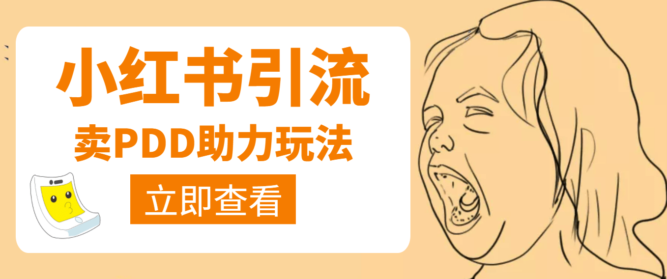 利用小红书卖拼多多助力聚合网创-网创项目资源站-副业项目-创业项目-搞钱项目聚合网创