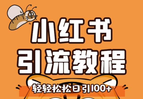 小红书运营引流全系列课程，每天引流100精准粉聚合网创-网创项目资源站-副业项目-创业项目-搞钱项目聚合网创