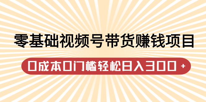 零基础视频号带货赚钱项目，0成本0门槛轻松日入300+【视频教程】聚合网创-网创项目资源站-副业项目-创业项目-搞钱项目聚合网创