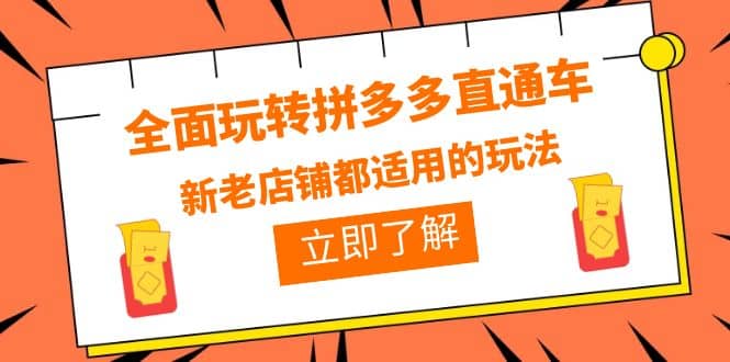 全面玩转拼多多直通车，新老店铺都适用的玩法（12节精华课）聚合网创-网创项目资源站-副业项目-创业项目-搞钱项目聚合网创