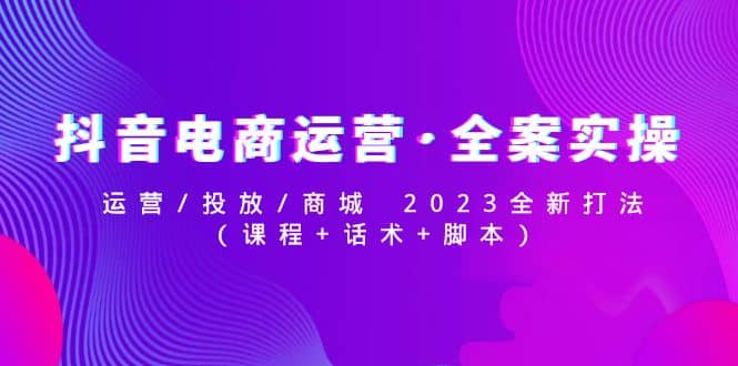 抖音电商运营·全案实操：运营/投放/商城 2023全新打法聚合网创-网创项目资源站-副业项目-创业项目-搞钱项目聚合网创
