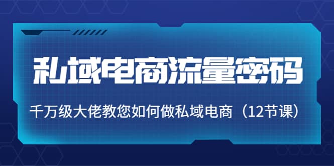 私域电商流量密码：千万级大佬教您如何做私域电商（12节课）聚合网创-网创项目资源站-副业项目-创业项目-搞钱项目聚合网创