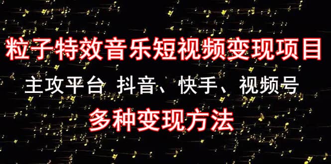 《粒子特效音乐短视频变现项目》主攻平台 抖音、快手、视频号 多种变现方法聚合网创-网创项目资源站-副业项目-创业项目-搞钱项目聚合网创