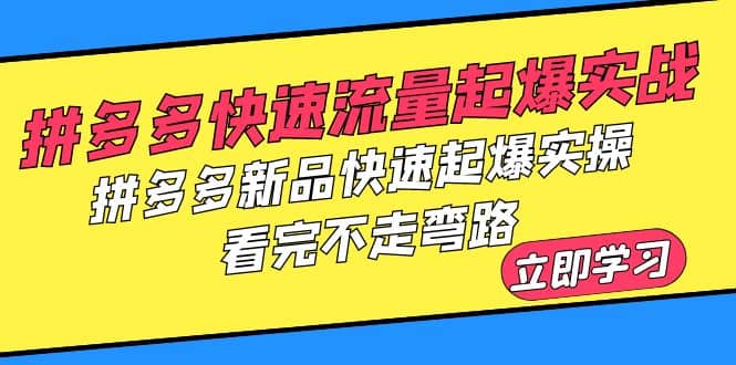 拼多多-快速流量起爆实战，拼多多新品快速起爆实操，看完不走弯路聚合网创-网创项目资源站-副业项目-创业项目-搞钱项目聚合网创