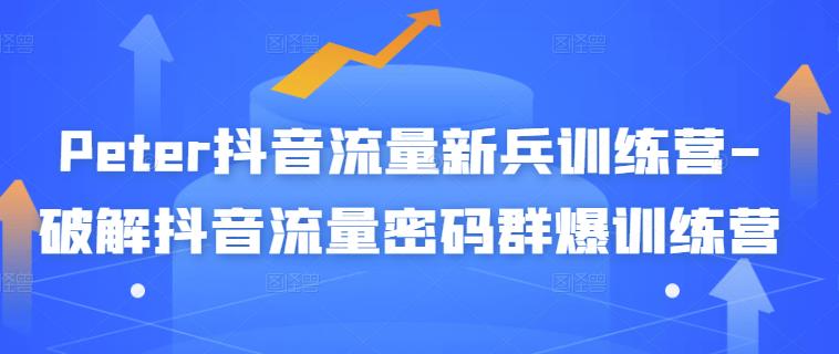Peter抖音流量新兵训练营-破解抖音流量密码群爆训练营（新兵）聚合网创-网创项目资源站-副业项目-创业项目-搞钱项目聚合网创
