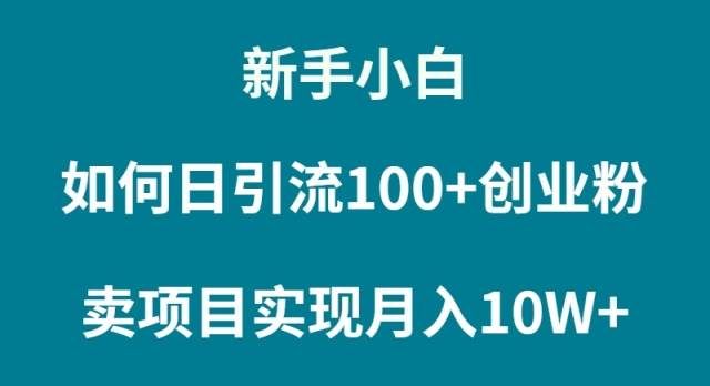 新手小白如何通过卖项目实现月入10W+聚合网创-网创项目资源站-副业项目-创业项目-搞钱项目聚合网创