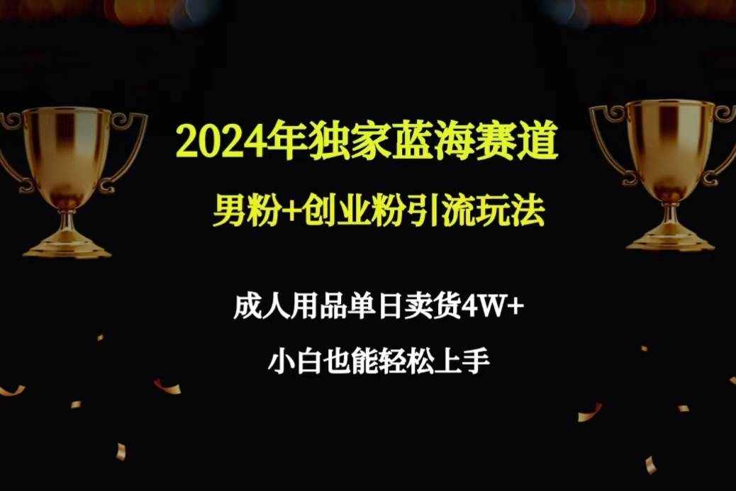 2024年独家蓝海赛道男粉+创业粉引流玩法，成人用品单日卖货4W+保姆教程聚合网创-网创项目资源站-副业项目-创业项目-搞钱项目聚合网创