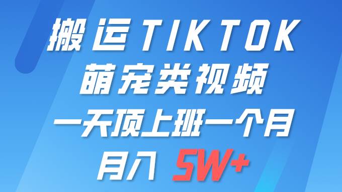 一键搬运TIKTOK萌宠类视频 一部手机即可操作 所有平台均可发布 轻松月入5W+聚合网创-网创项目资源站-副业项目-创业项目-搞钱项目聚合网创