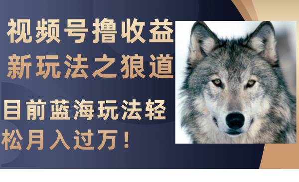视频号撸收益新玩法之狼道，目前蓝海玩法轻松月入过万！聚合网创-网创项目资源站-副业项目-创业项目-搞钱项目聚合网创