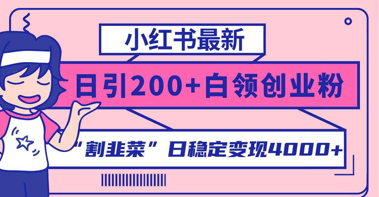 小红书最新日引200+创业粉”割韭菜“日稳定变现4000+实操教程！聚合网创-网创项目资源站-副业项目-创业项目-搞钱项目聚合网创