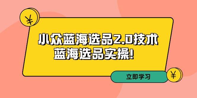 拼多多培训第33期：小众蓝海选品2.0技术-蓝海选品实操！聚合网创-网创项目资源站-副业项目-创业项目-搞钱项目聚合网创