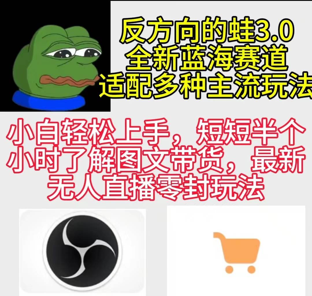 反方向的蛙3.0，图文最新玩法，变现多元化，新蓝海项目，小白轻松上手聚合网创-网创项目资源站-副业项目-创业项目-搞钱项目聚合网创