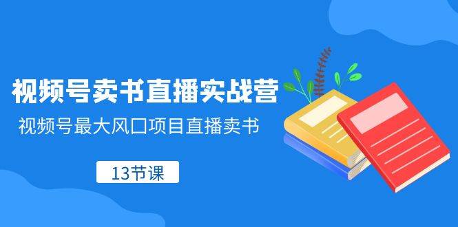 视频号-卖书直播实战营，视频号最大风囗项目直播卖书（13节课）聚合网创-网创项目资源站-副业项目-创业项目-搞钱项目聚合网创
