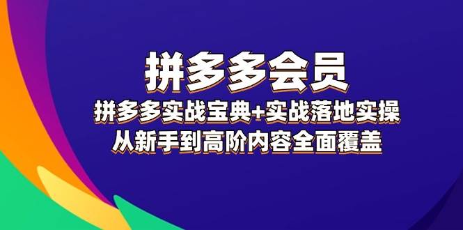 拼多多 会员，拼多多实战宝典+实战落地实操，从新手到高阶内容全面覆盖聚合网创-网创项目资源站-副业项目-创业项目-搞钱项目聚合网创