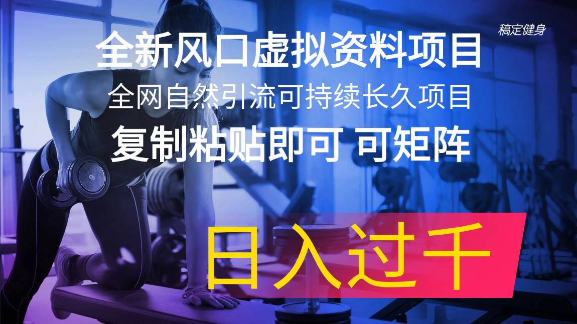 全新风口虚拟资料项目 全网自然引流可持续长久项目 复制粘贴即可可矩阵…聚合网创-网创项目资源站-副业项目-创业项目-搞钱项目聚合网创