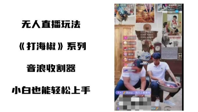 打海椒无人直播整蛊项目，小白轻松上手撸音浪收割器（教程+工具+素材）聚合网创-网创项目资源站-副业项目-创业项目-搞钱项目聚合网创