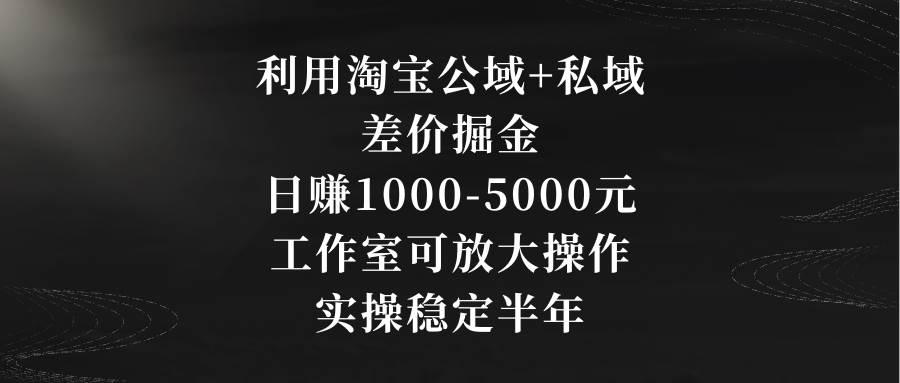 利用淘宝公域+私域差价掘金，日赚1000-5000元，工作室可放大操作，实操…聚合网创-网创项目资源站-副业项目-创业项目-搞钱项目聚合网创