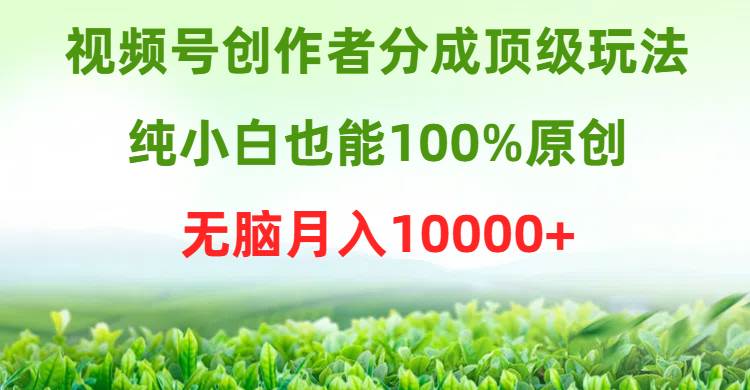 视频号创作者分成顶级玩法，纯小白也能100%原创，无脑月入10000+聚合网创-网创项目资源站-副业项目-创业项目-搞钱项目聚合网创
