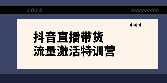 抖音直播带货-流量激活特训营，入行新手小白主播必学（21节课+资料）聚合网创-网创项目资源站-副业项目-创业项目-搞钱项目聚合网创