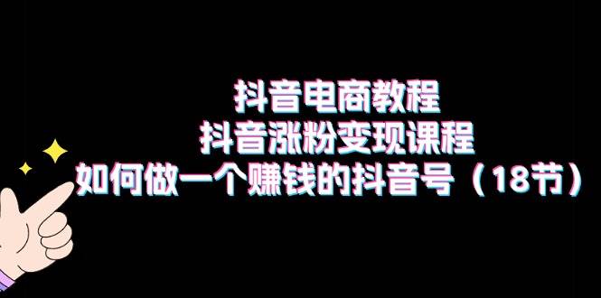 抖音电商教程：抖音涨粉变现课程：如何做一个赚钱的抖音号（18节）聚合网创-网创项目资源站-副业项目-创业项目-搞钱项目聚合网创