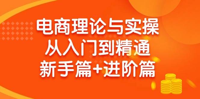电商理论与实操从入门到精通 新手篇+进阶篇聚合网创-网创项目资源站-副业项目-创业项目-搞钱项目聚合网创
