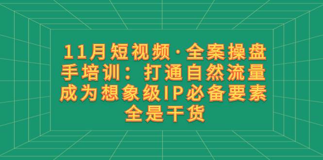 11月短视频·全案操盘手培训：打通自然流量 成为想象级IP必备要素 全是干货聚合网创-网创项目资源站-副业项目-创业项目-搞钱项目聚合网创