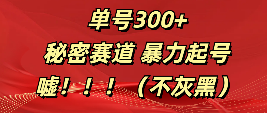 单号300+  秘密赛道 暴力起号  （不灰黑）聚合网创-网创项目资源站-副业项目-创业项目-搞钱项目聚合网创