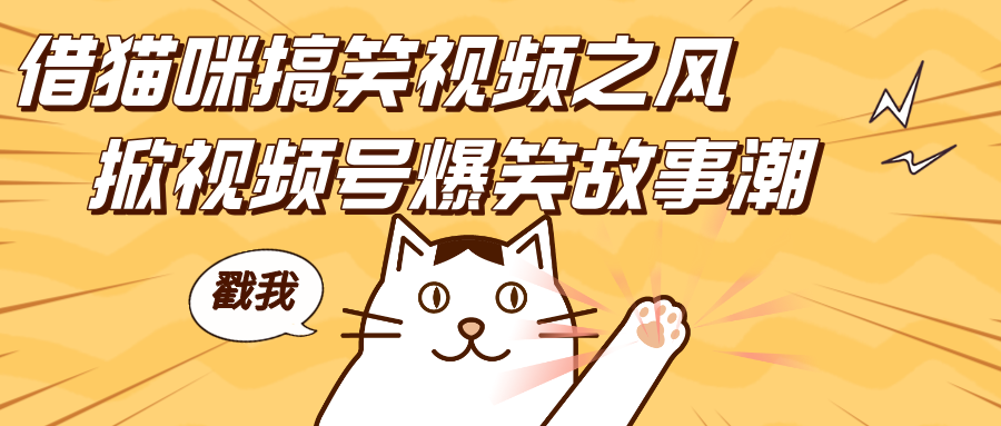 借猫咪搞笑视频之风，掀视频号爆笑故事潮，轻松日赚四位数，开启无门槛赚钱新体验！聚合网创-网创项目资源站-副业项目-创业项目-搞钱项目聚合网创