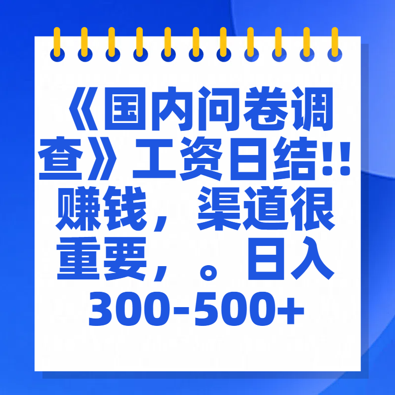 问卷调查答题，一个人在家也可以闷声发大财，小白一天2张，【揭秘】聚合网创-网创项目资源站-副业项目-创业项目-搞钱项目聚合网创