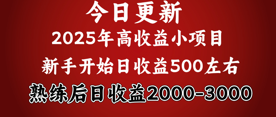 好项目一眼就能看出来，日收益1000，长久可做，2025拼的就是我比你勤奋聚合网创-网创项目资源站-副业项目-创业项目-搞钱项目聚合网创