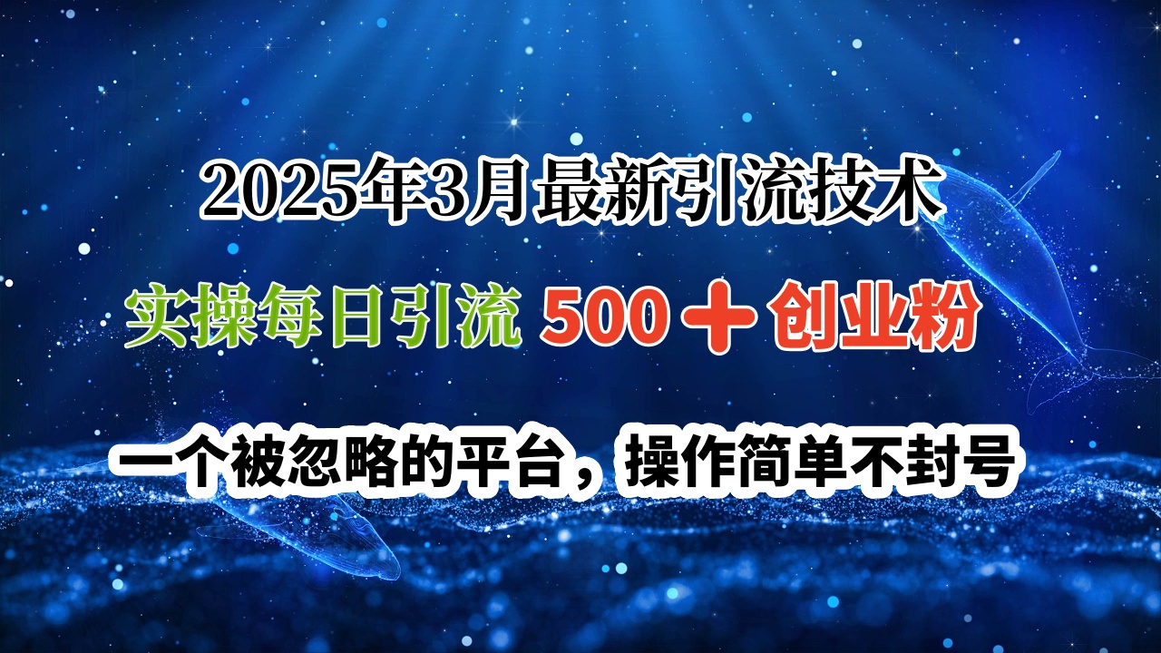 2025年3月最新引流技术，实操每日引流500➕创业粉，一个被忽略的平台，操作简单不封号聚合网创-网创项目资源站-副业项目-创业项目-搞钱项目聚合网创