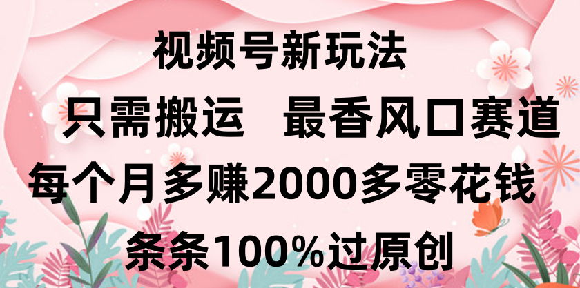日入2000+，条条100%过原创，视频号最香风口赛道，小白轻松上手聚合网创-网创项目资源站-副业项目-创业项目-搞钱项目聚合网创