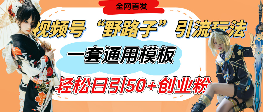 视频号“野路子”玩法，评论区疯狂截流，一套模板单日单号引流50+创业粉聚合网创-网创项目资源站-副业项目-创业项目-搞钱项目聚合网创
