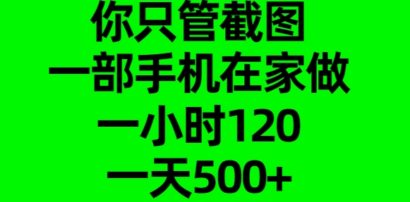 你只管截图，一部手机在家做，一小时120，一天500+聚合网创-网创项目资源站-副业项目-创业项目-搞钱项目聚合网创