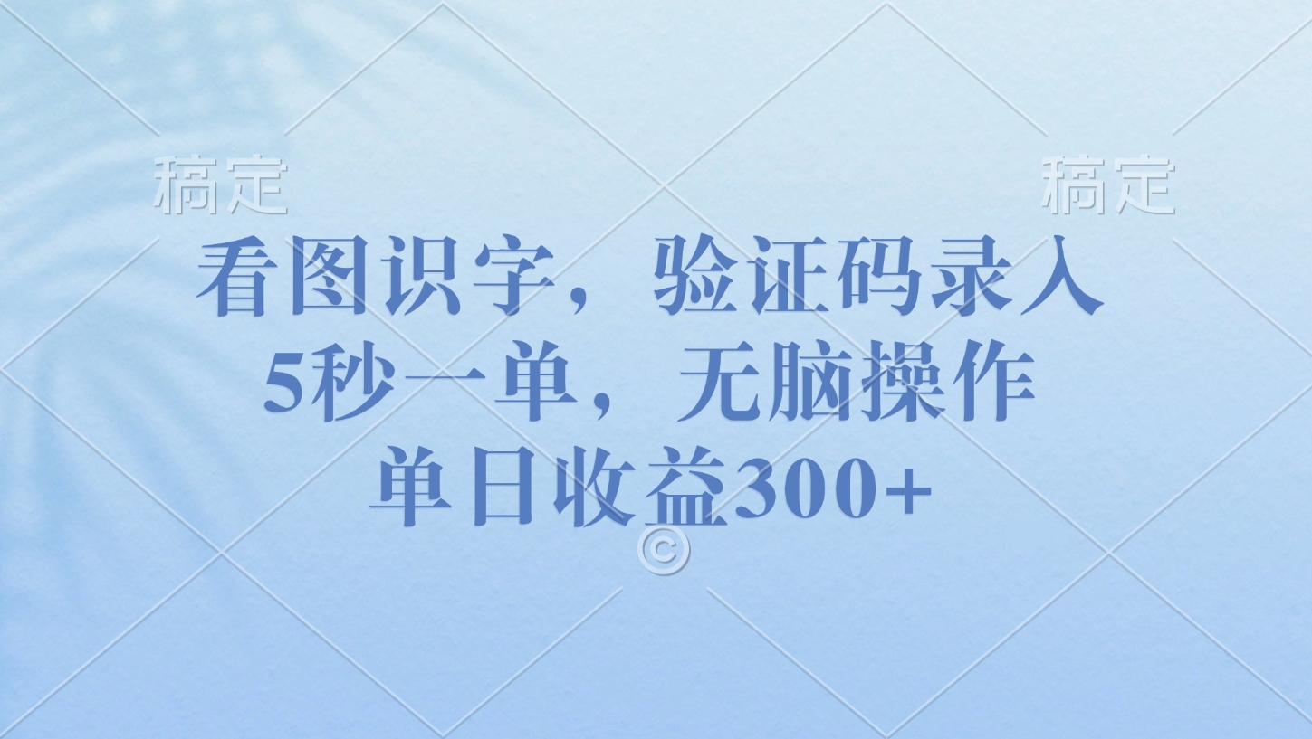 看图识字，验证码录入，5秒一单，无脑操作，单日收益300+聚合网创-网创项目资源站-副业项目-创业项目-搞钱项目聚合网创